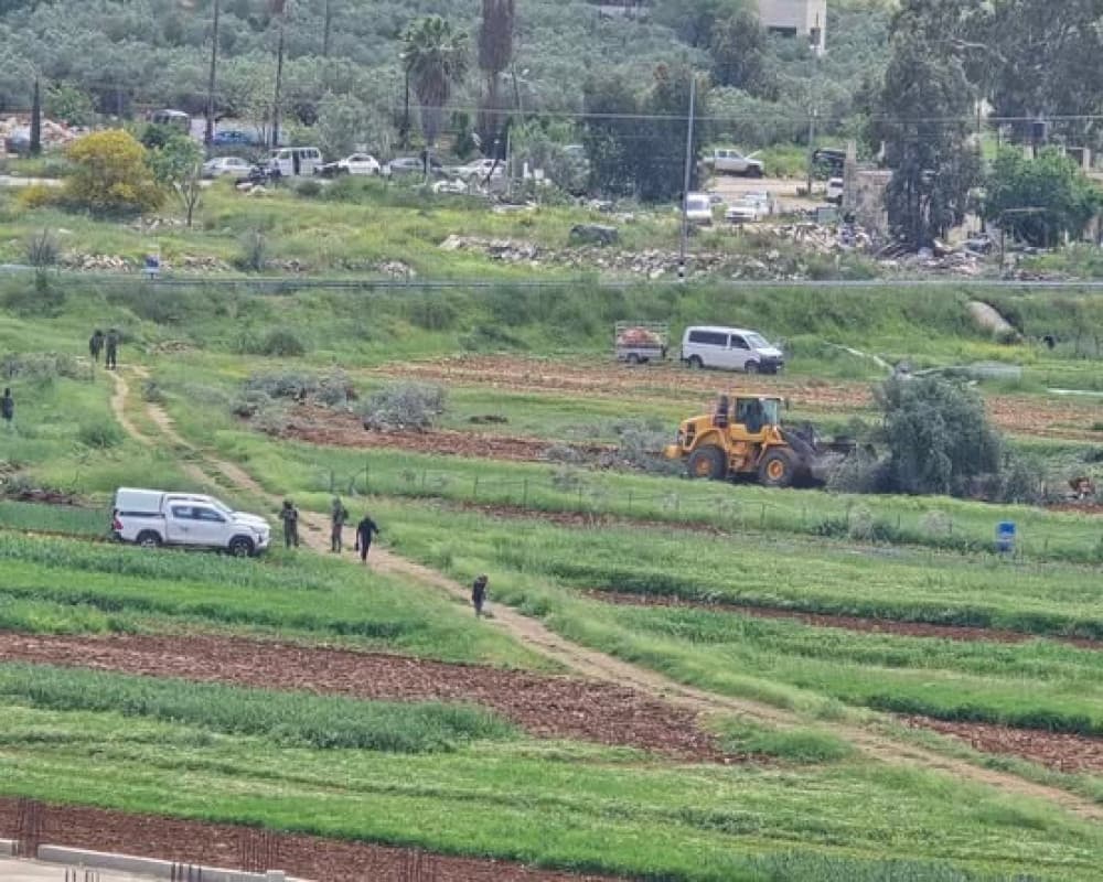 لليوم الثاني: الاحتلال يقتلع عشرات الأشجار المثمرة في اللبن الشرقية جنوب نابلس